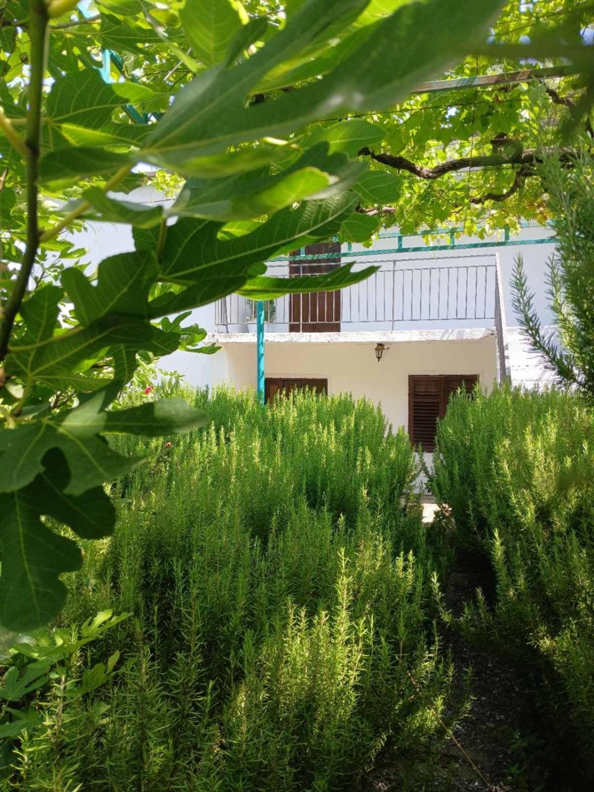 Вилла Etno House Mira Вирпазар Номер фото